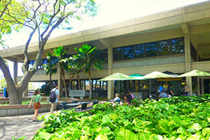 Front of the law building. Two students walk toward the building on a path set between a tree and green foliage. Other students sit at patio tables beneath umbrellas.